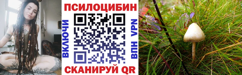 Псилоцибиновые грибы GOLDEN TEACHER  хочу наркоту  Омск 